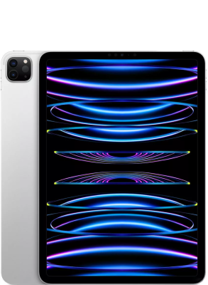 iPad Pro 11 2022 M2 серебристый